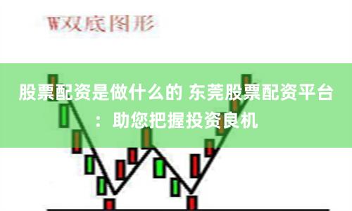 股票配资是做什么的 东莞股票配资平台：助您把握投资良机