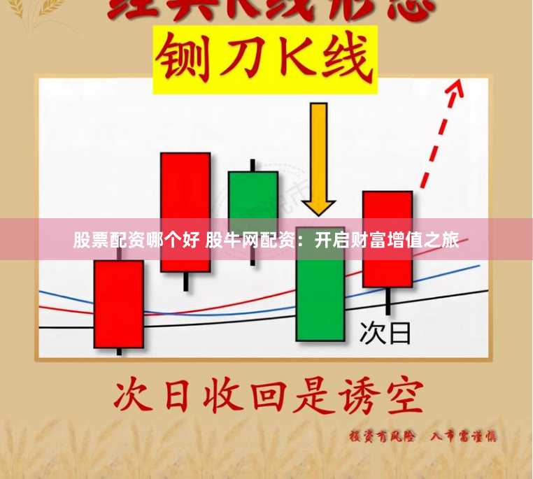 股票配资哪个好 股牛网配资：开启财富增值之旅