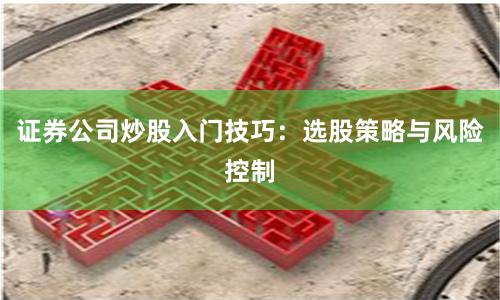 证券公司炒股入门技巧：选股策略与风险控制